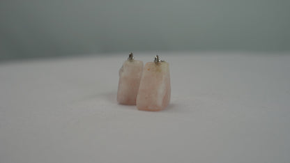 Salt Earrings (5 Types)