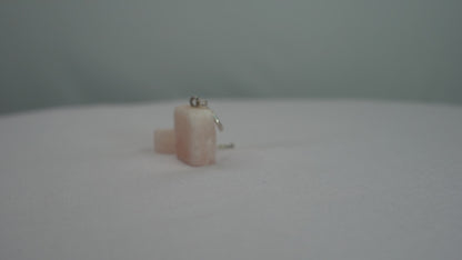 Salt Earrings (5 Types)